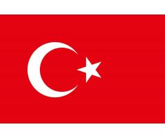 دروس تعليم التركي و ترجمه حر في اي مجال.