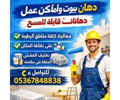 دهان صباغ جميع أنحاء إسطنبول - صورة 4/10